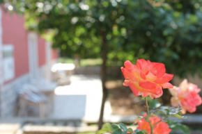 Apartments Toni, Trogir